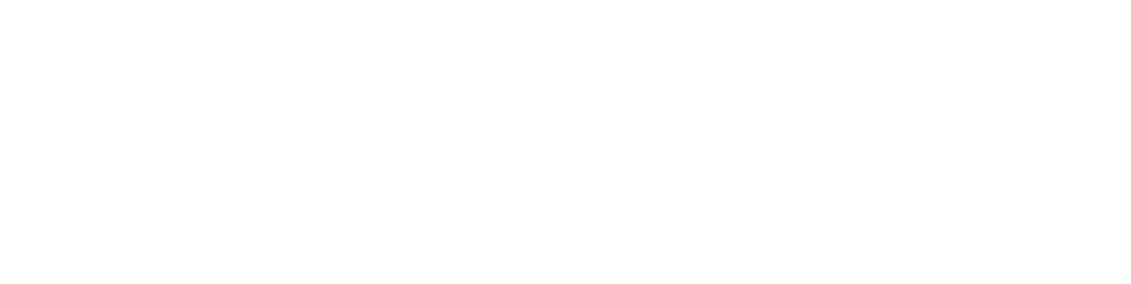 Das Logo von RIG von NACON.