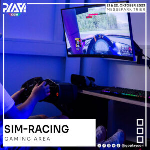 Ein Sim Racing Rig mit Lenkrad und großem Bildschirm.
